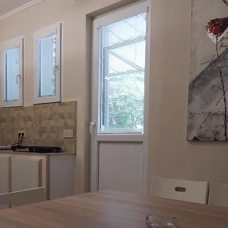 Vitosha Boulevard Prime Location *